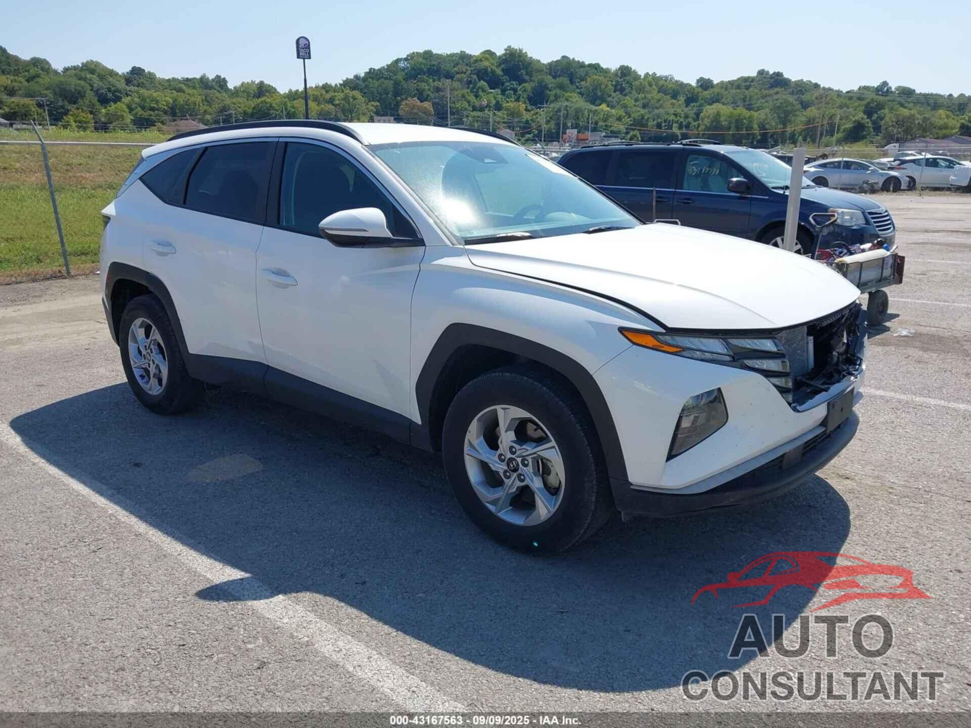 HYUNDAI TUCSON 2023 - 5NMJBCAE6PH249391