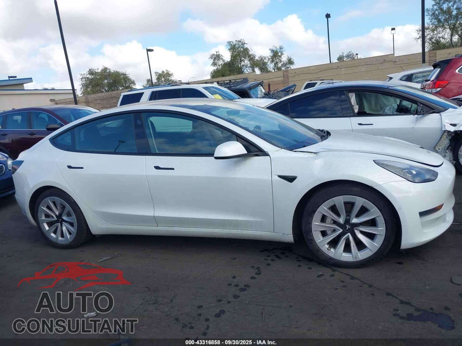 TESLA MODEL 3 2021 - 5YJ3E1EA2MF018190