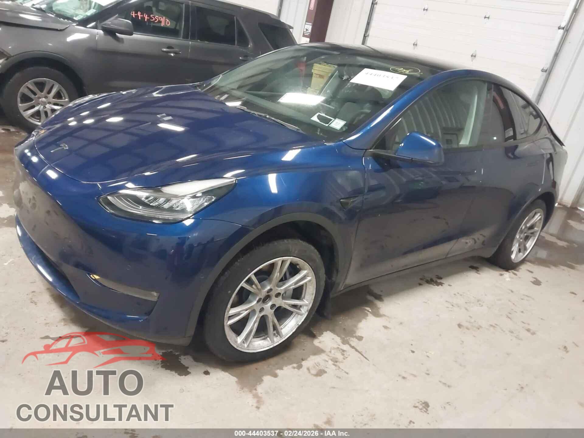 TESLA MODEL Y 2022 - 7SAYGDEE1NF313449