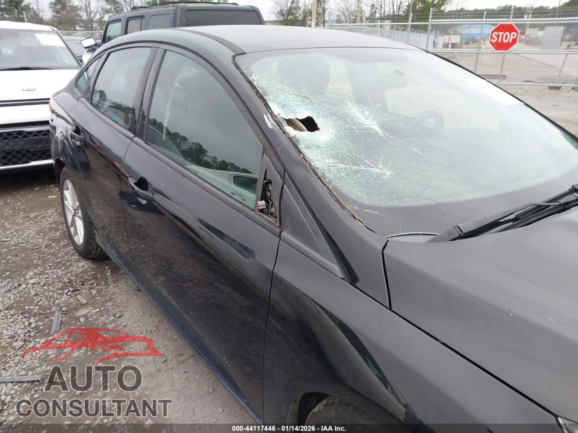FORD FOCUS 2016 - 1FADP3F24GL371538