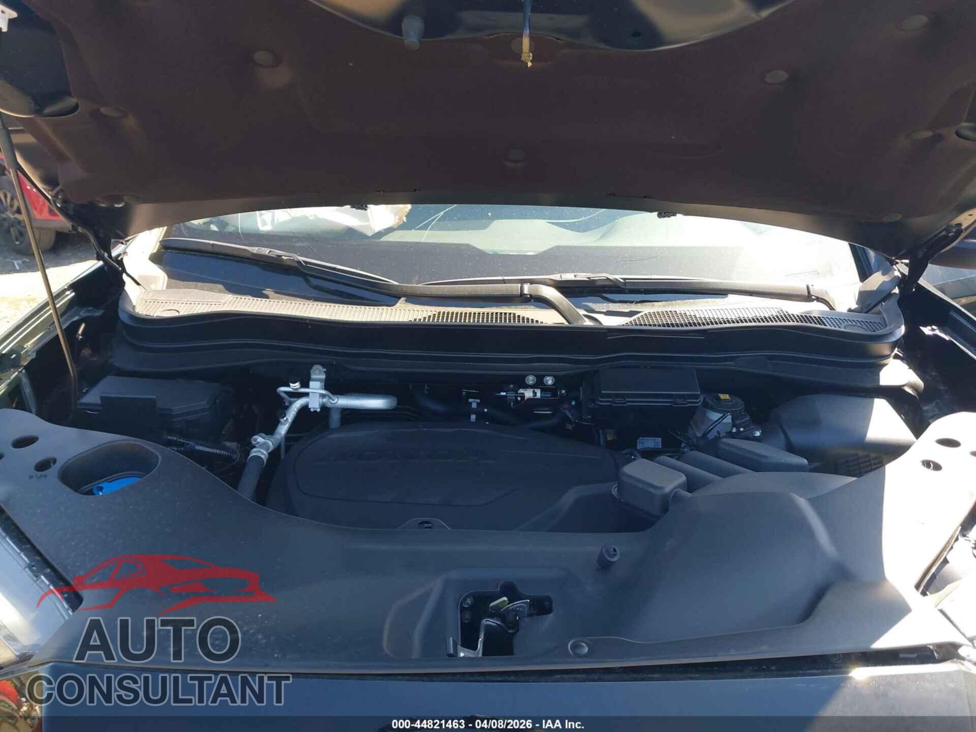 HONDA RIDGELINE 2026 - 5FPYK3F64TB001806