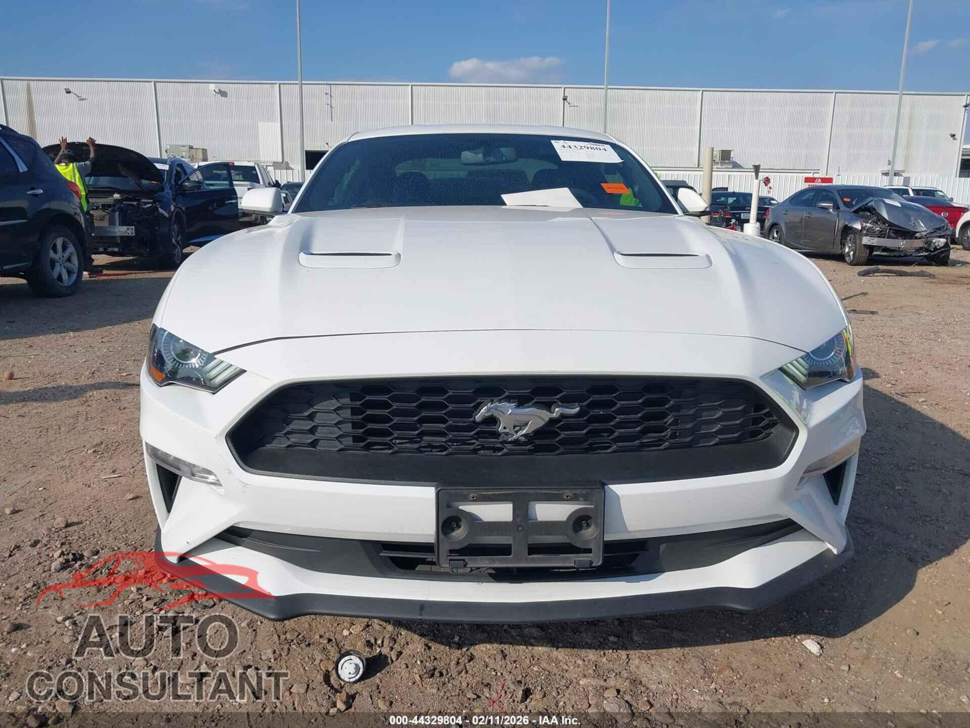 FORD MUSTANG 2019 - 1FA6P8TH2K5117984
