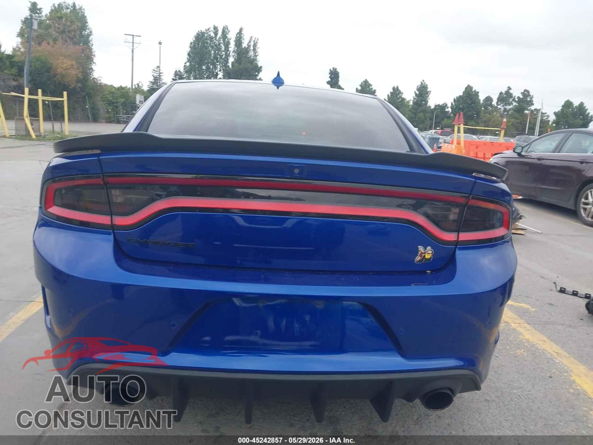 DODGE CHARGER 2019 - 2C3CDXGJXKH687077