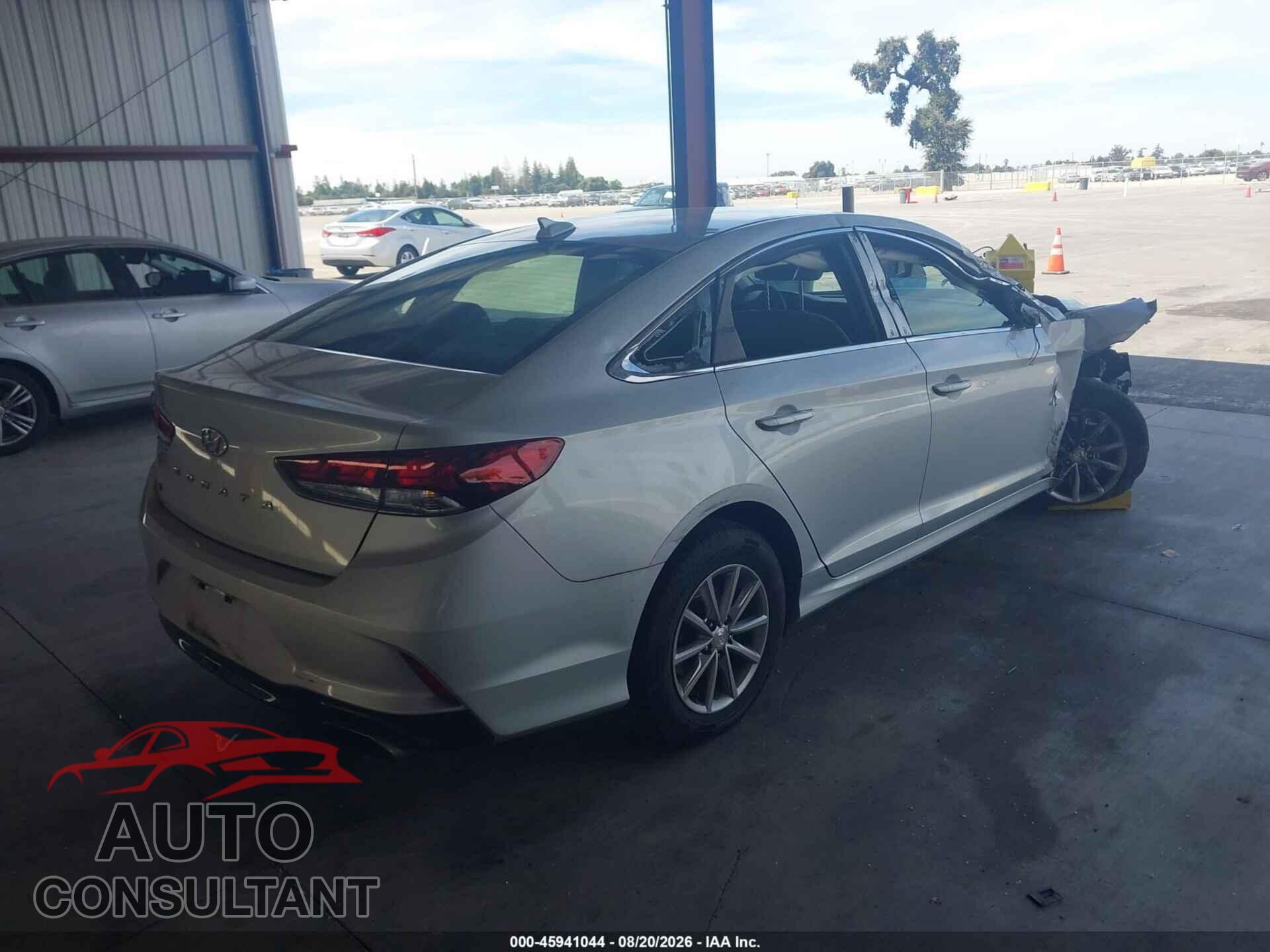 HYUNDAI SONATA 2019 - 5NPE24AF4KH800834
