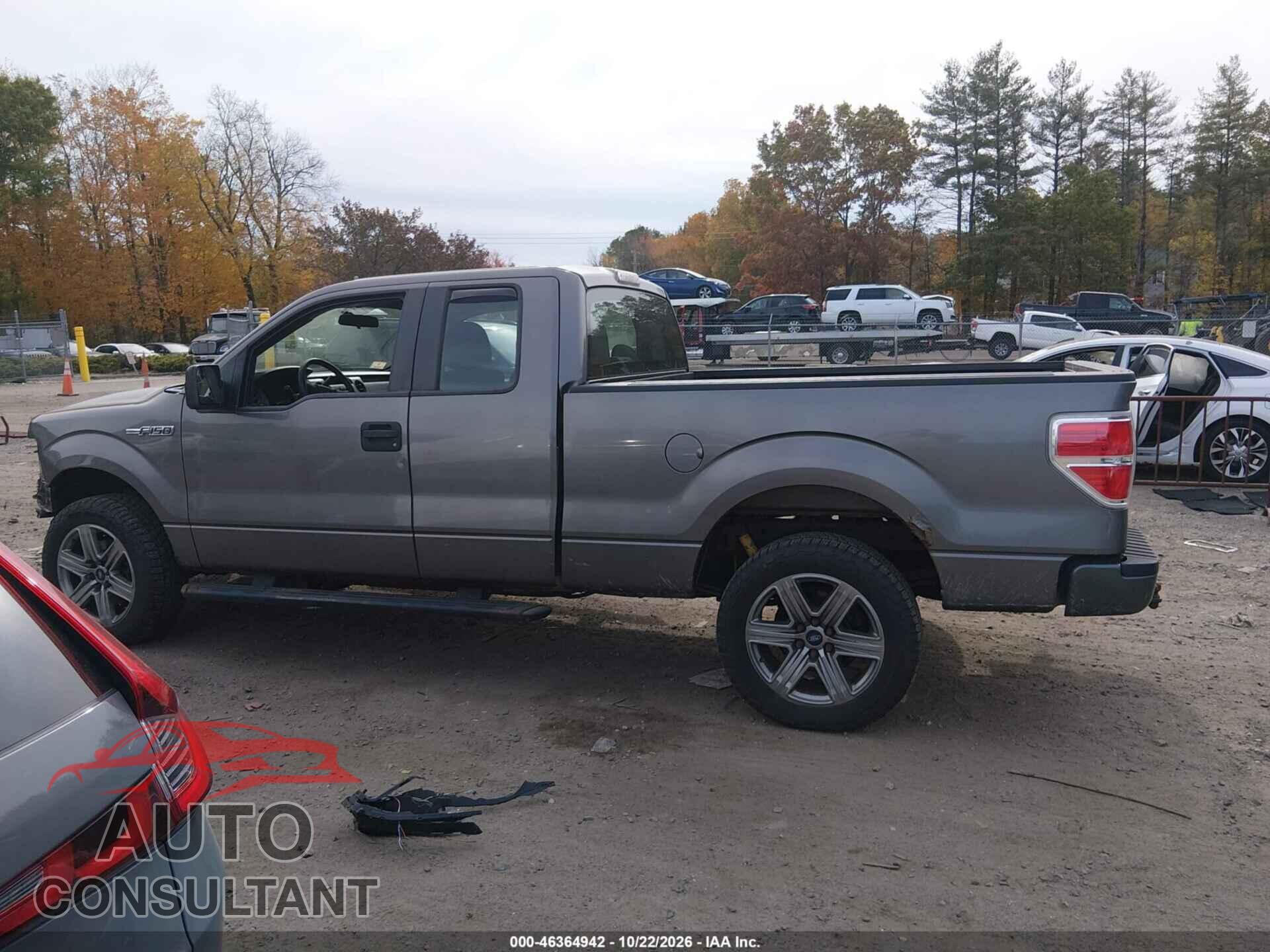 FORD F-150 2014 - 1FTFX1EF9EFA65717