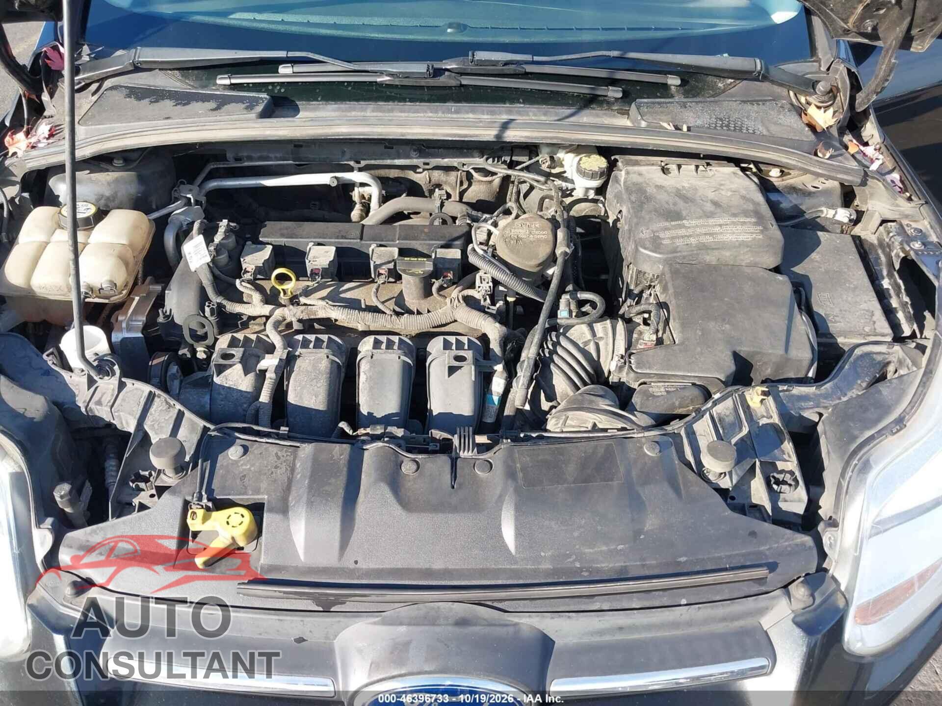 FORD FOCUS 2013 - 1FADP3F27DL252555