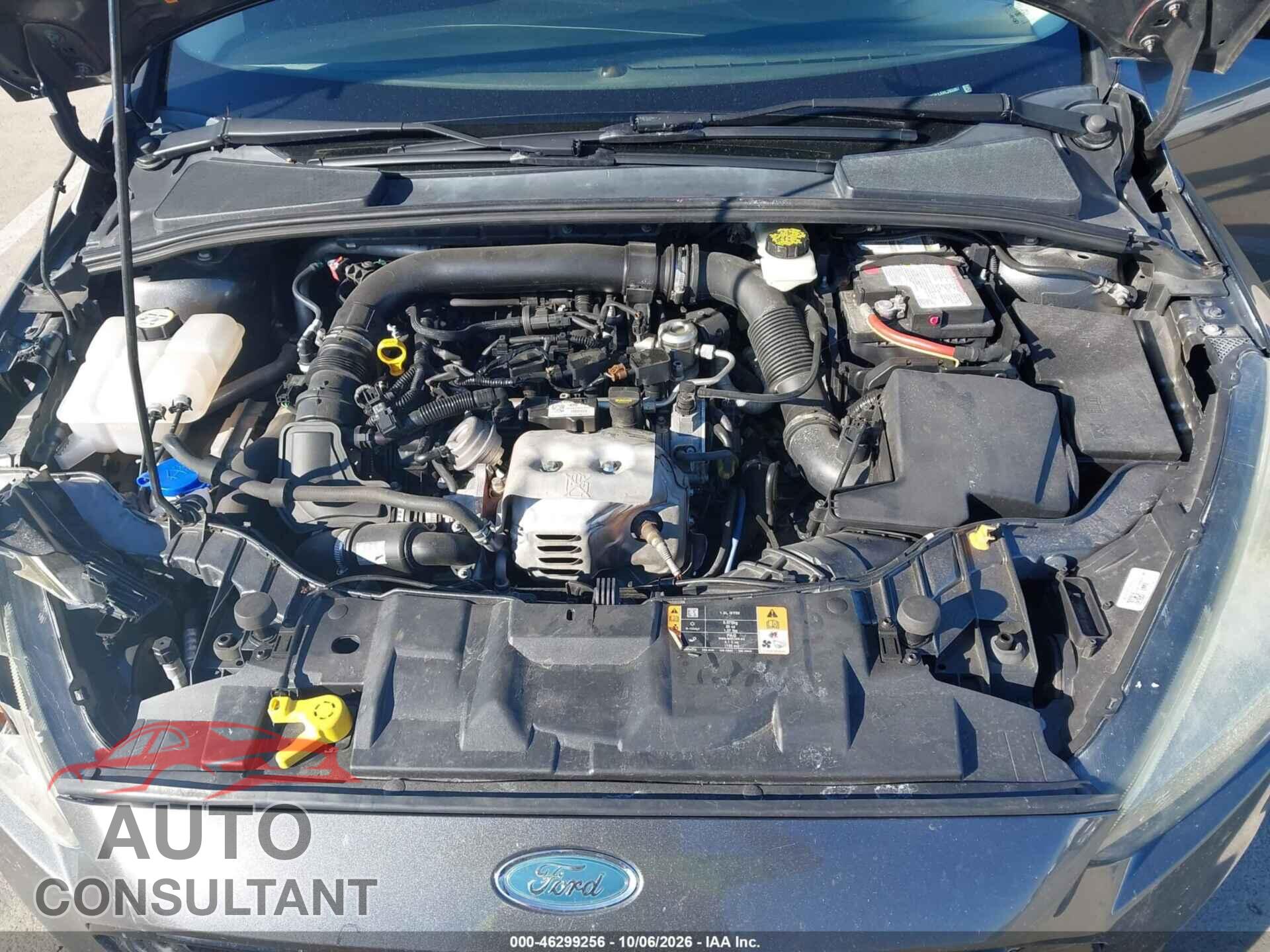 FORD FOCUS 2017 - 1FADP3FEXHL282097