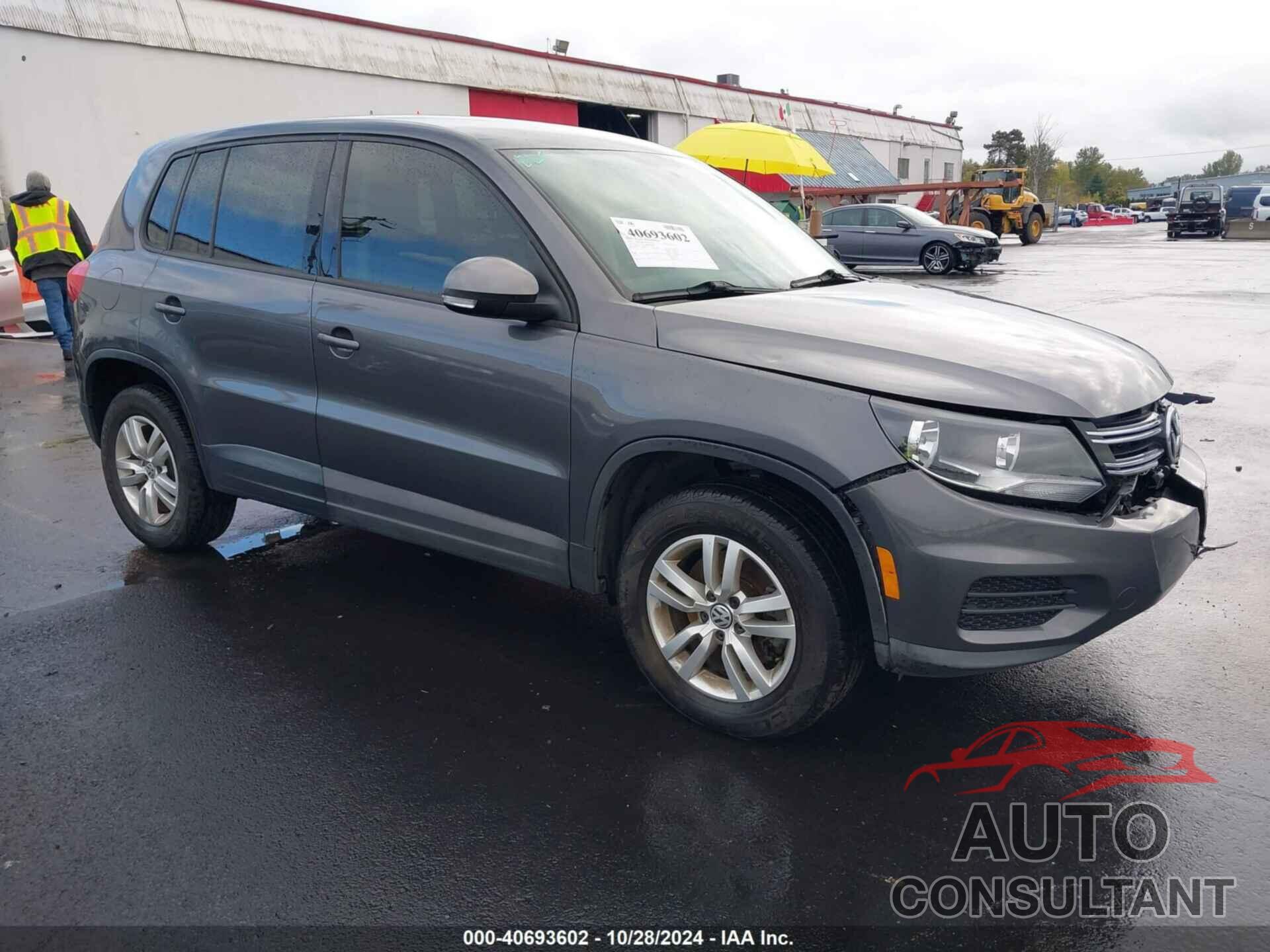 VOLKSWAGEN TIGUAN 2013 - WVGAV3AX2DW621984