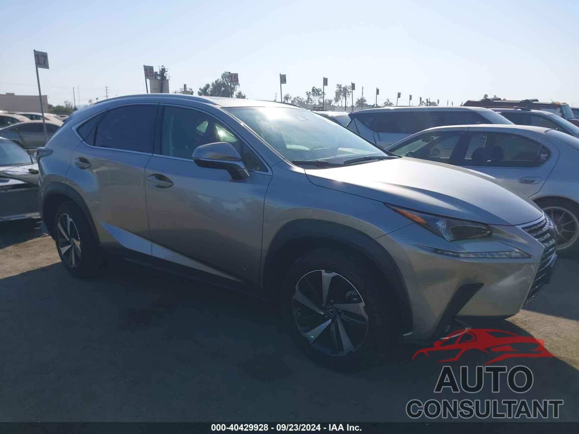 LEXUS NX 300 2020 - JTJDARBZXL2163887