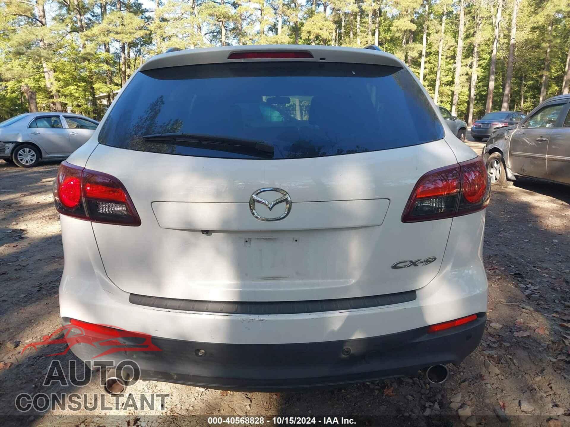 MAZDA CX-9 2013 - JM3TB2CA8D0415104