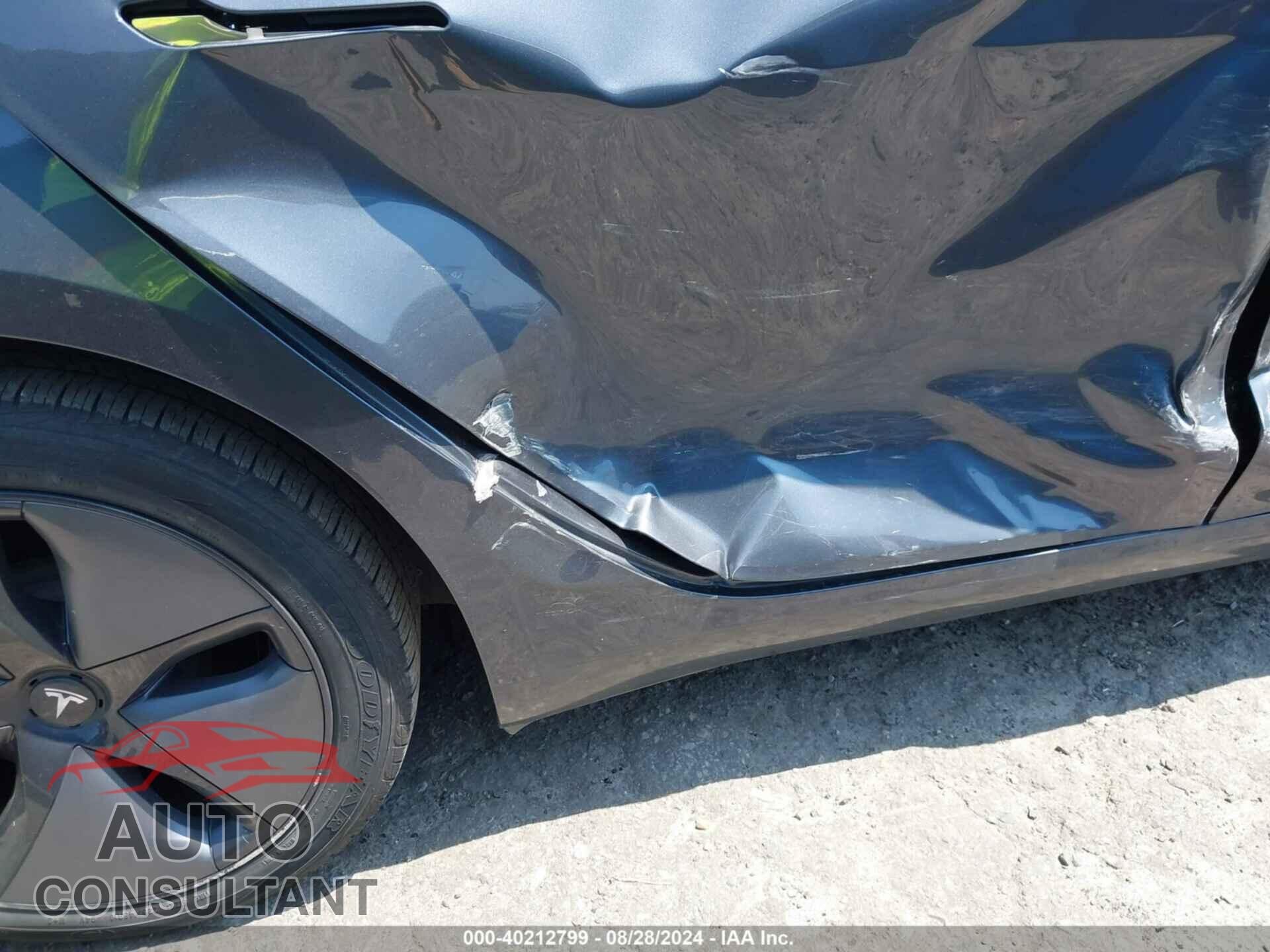 TESLA MODEL 3 2019 - 5YJ3E1EA8KF307250