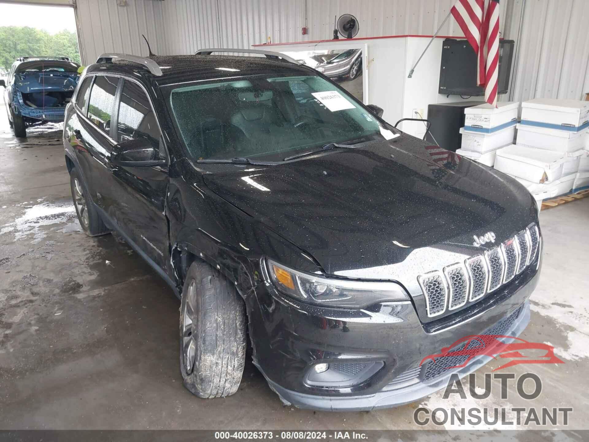 JEEP CHEROKEE 2019 - 1C4PJLLB4KD272444