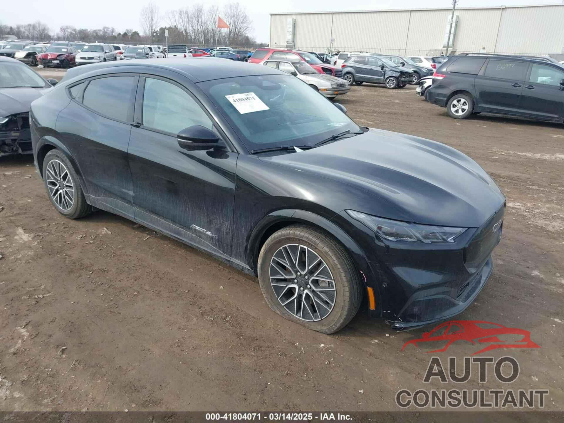 FORD MUSTANG MACH-E 2024 - 3FMTK3SU9RMA18186