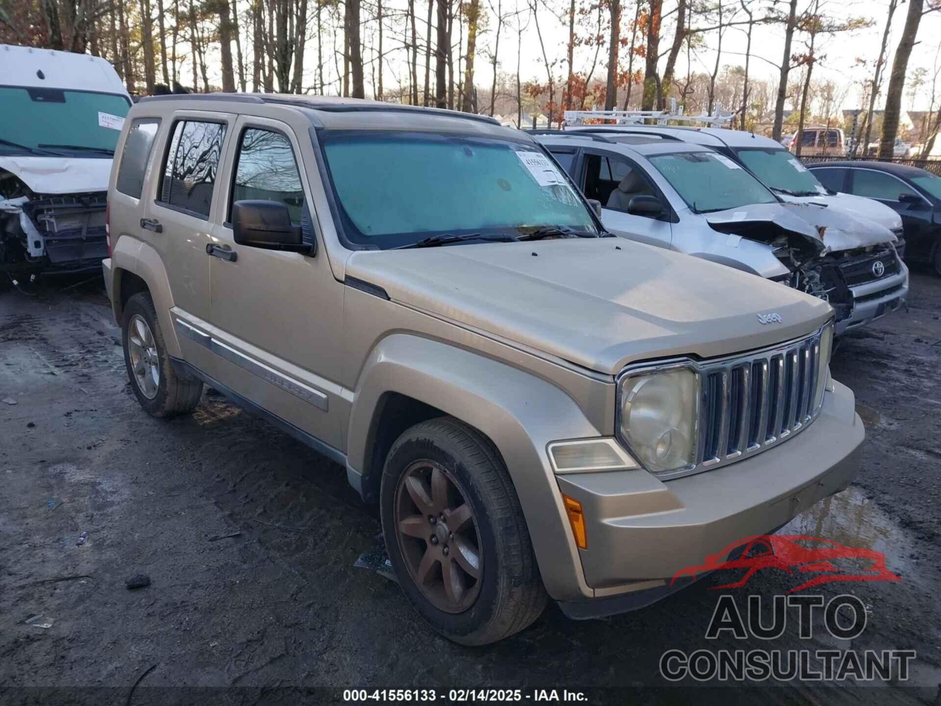 JEEP LIBERTY 2010 - 1J4PN5GK3AW104298