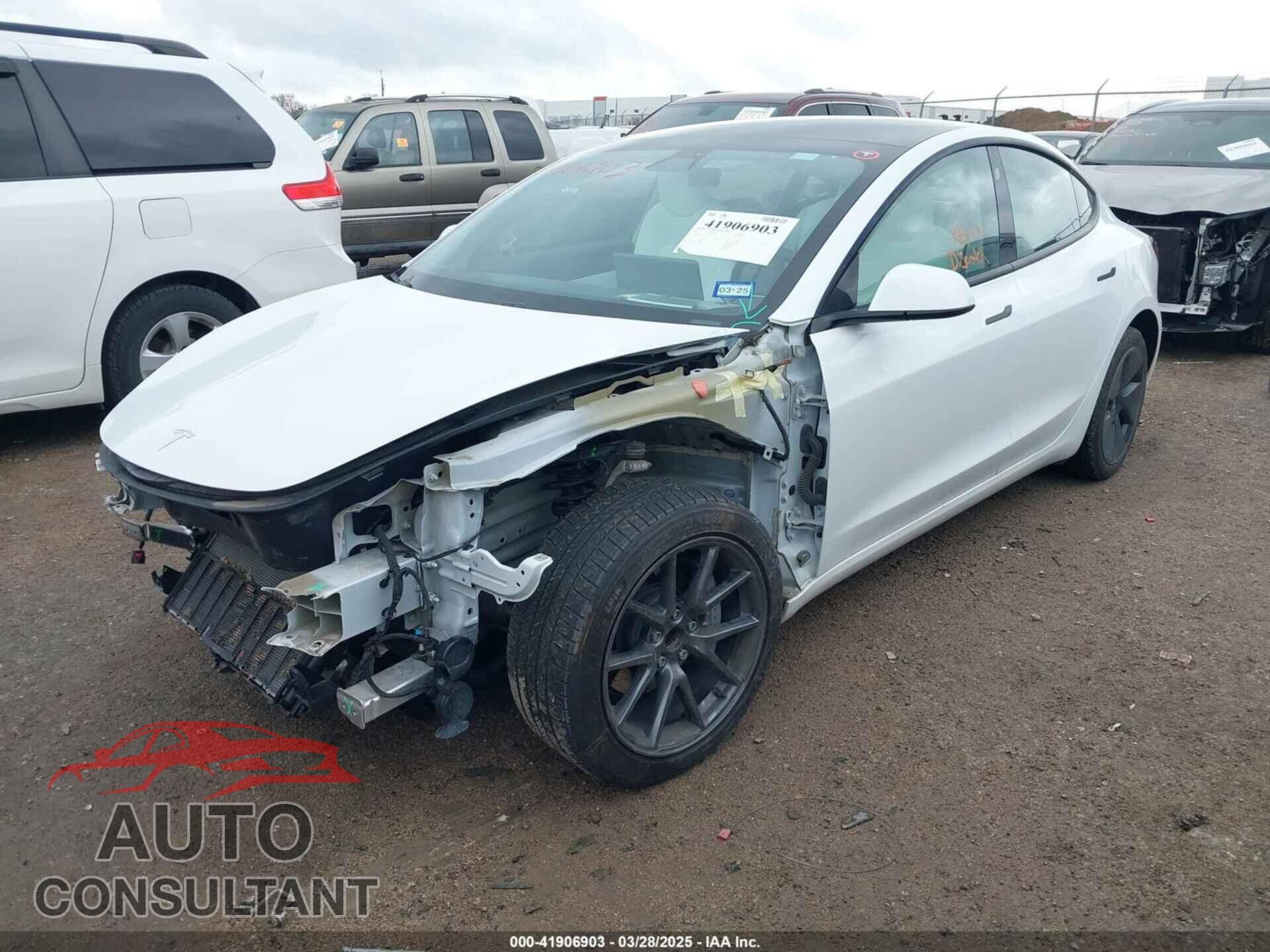 TESLA MODEL 3 2021 - 5YJ3E1EA1MF917302