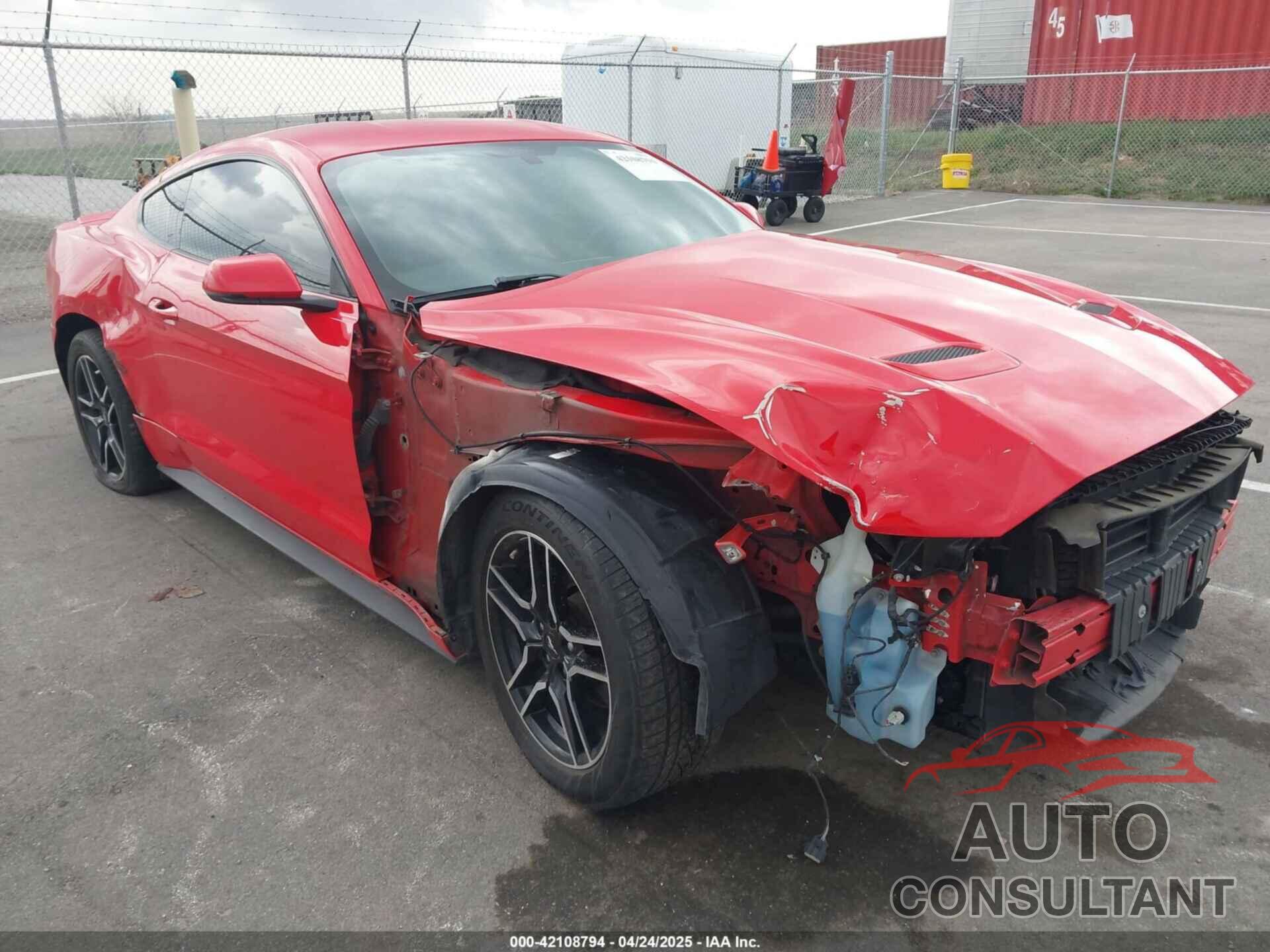 FORD MUSTANG 2019 - 1FA6P8TH4K5172694