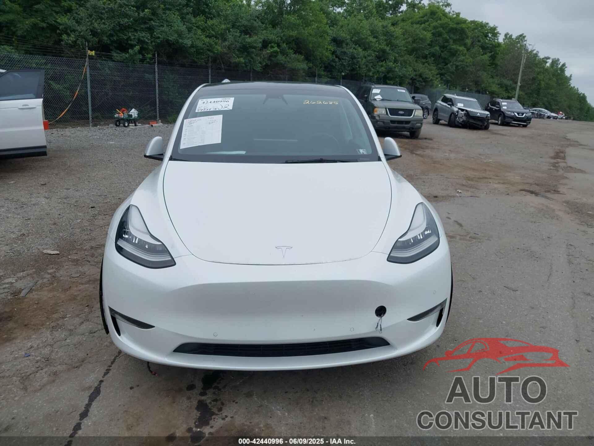 TESLA MODEL Y 2021 - 5YJYGDEE4MF262685