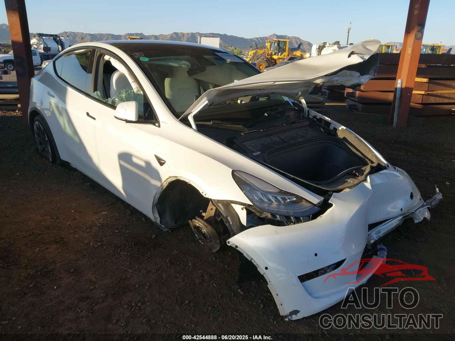 TESLA MODEL Y 2021 - 5YJYGDEE0MF264790