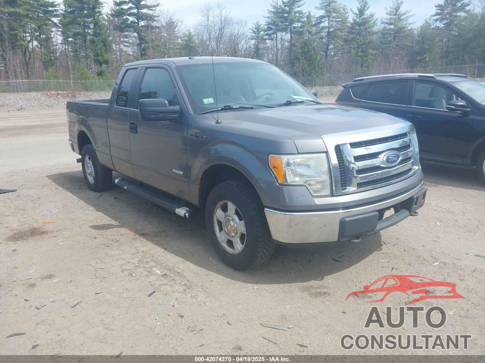 FORD F-150 2011 - 1FTFX1ET5BFB49485