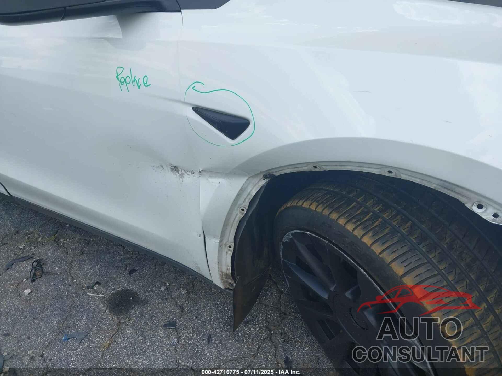 TESLA MODEL Y 2022 - 7SAYGDEE6NF364669