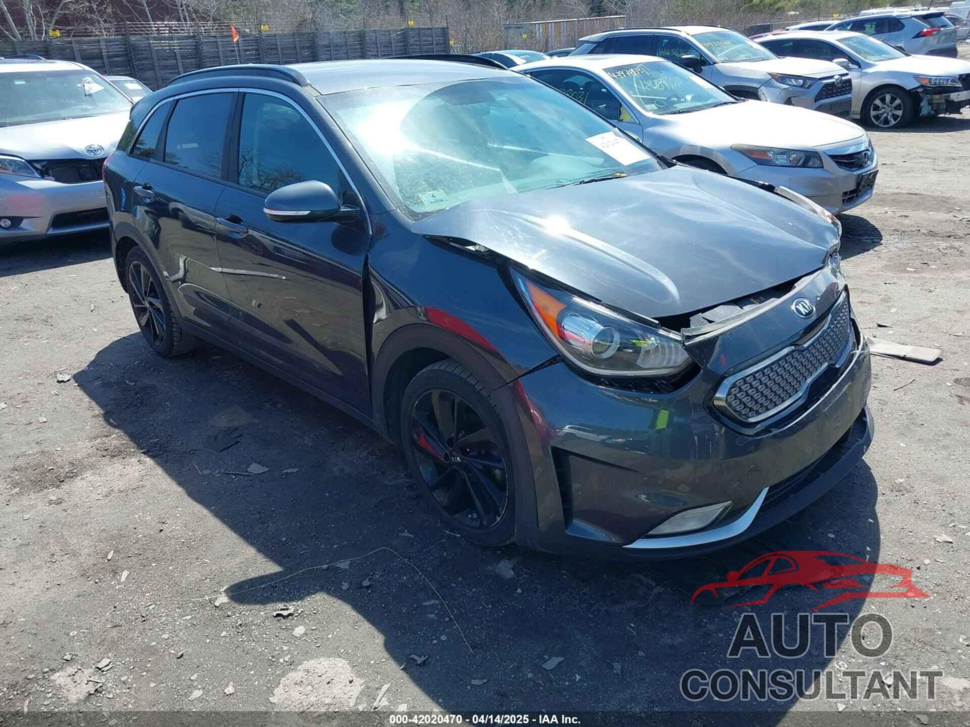 KIA NIRO 2019 - KNDCC3LC2K5252303