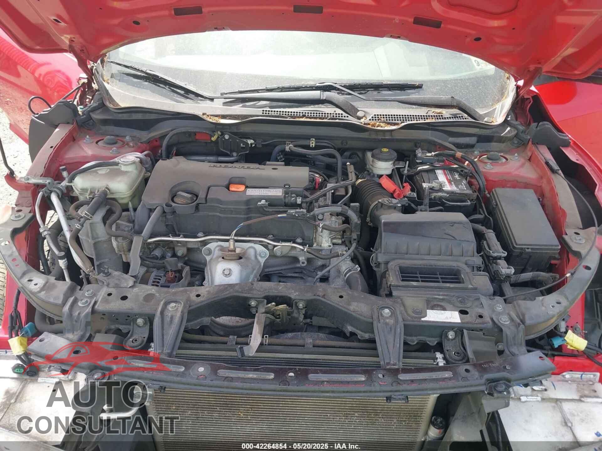 HONDA CIVIC 2019 - 2HGFC2F64KH552013