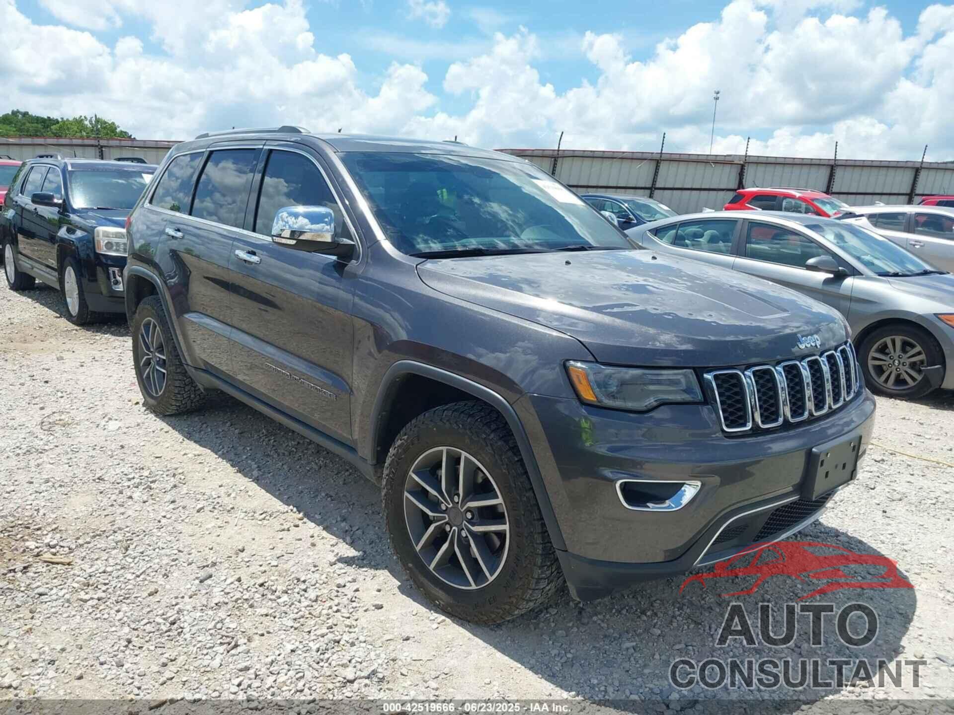 JEEP GRAND CHEROKEE 2019 - 1C4RJFBG1KC713167