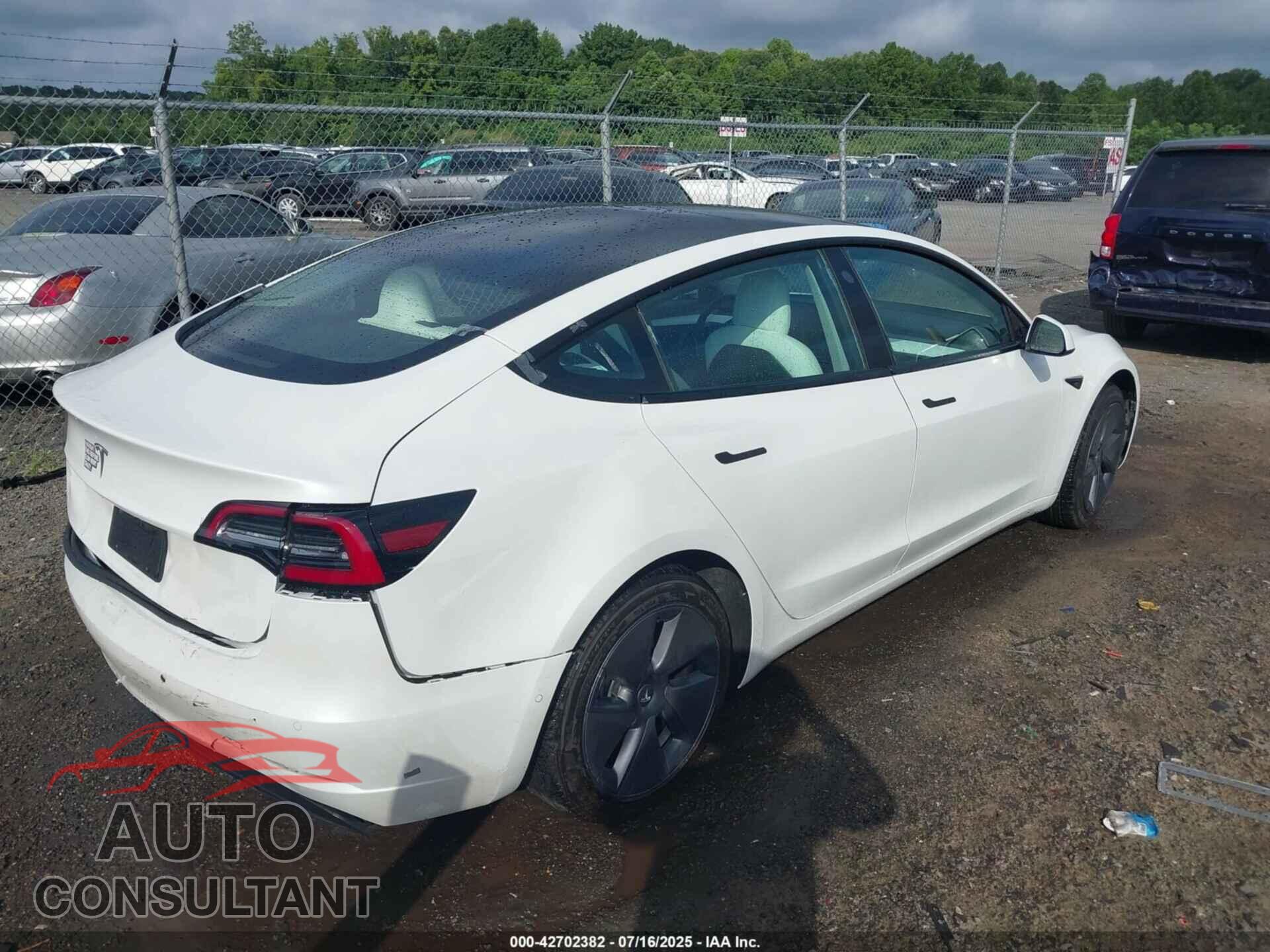 TESLA MODEL 3 2021 - 5YJ3E1EA2MF091480