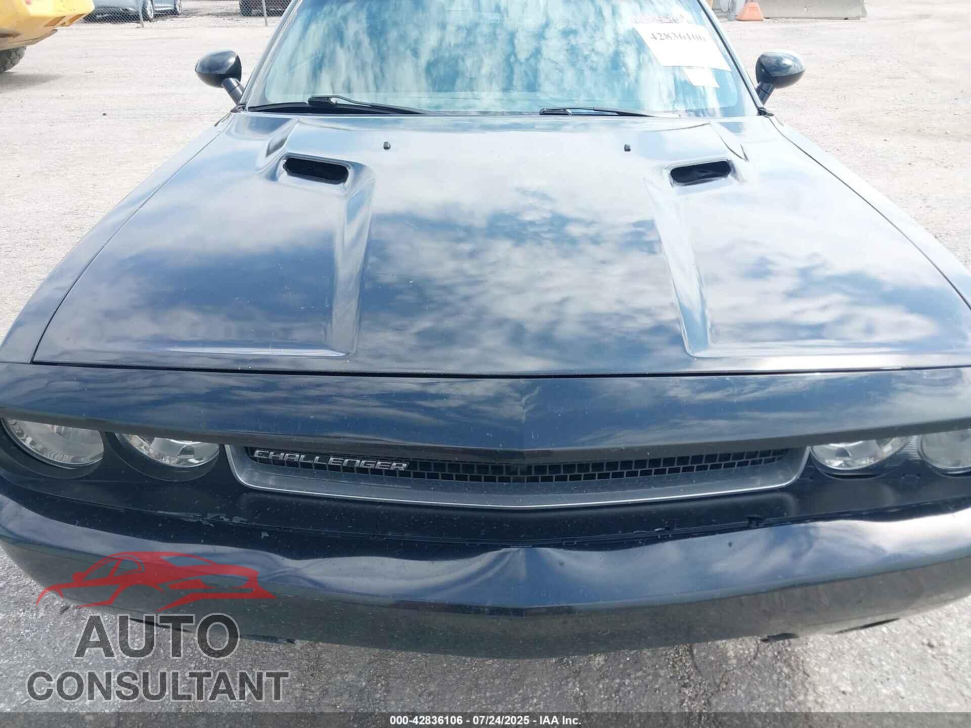 DODGE CHALLENGER 2013 - 2C3CDYAG2DH562449
