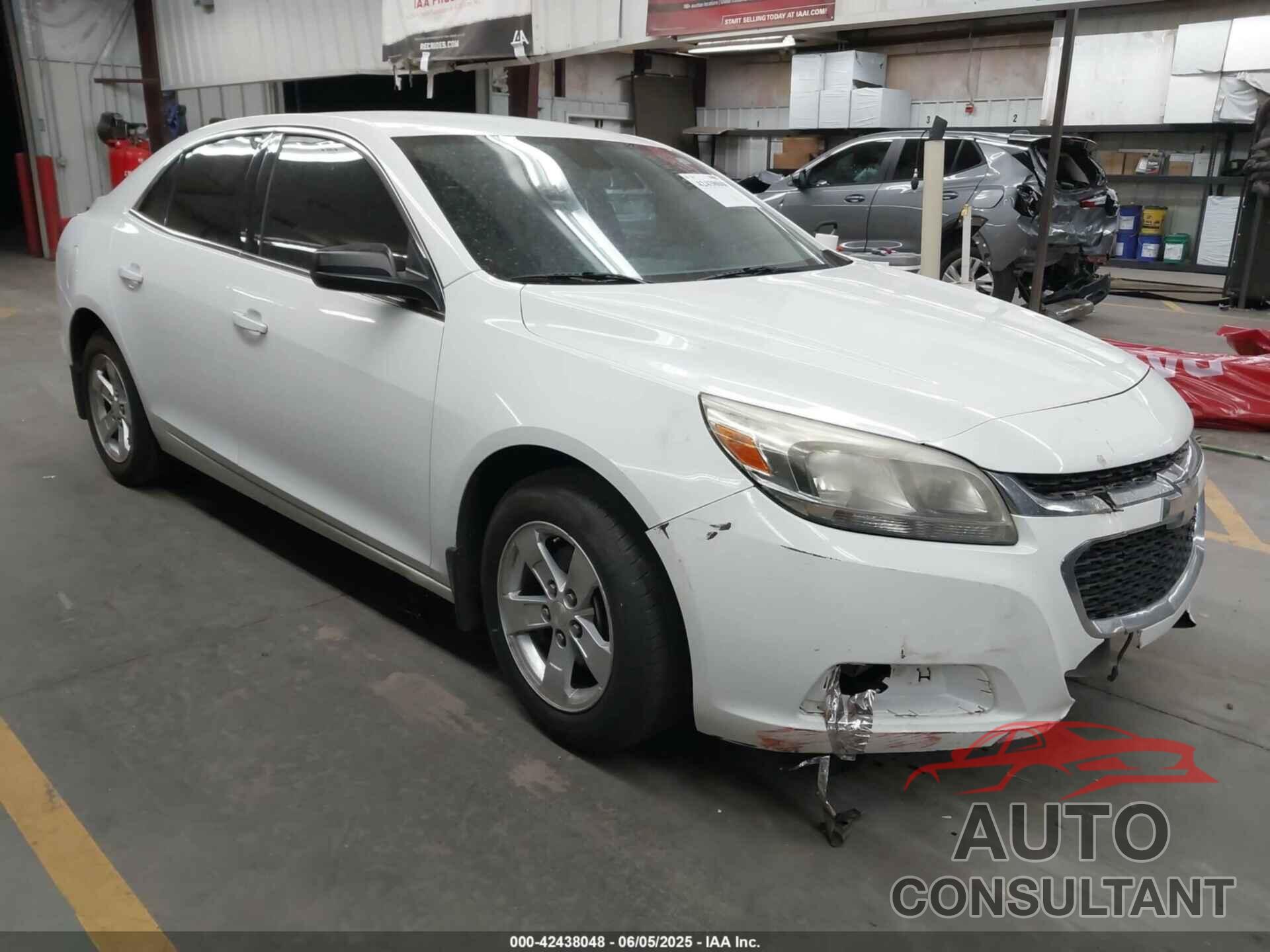 CHEVROLET MALIBU LIMITED 2016 - 1G11B5SA6GF110133