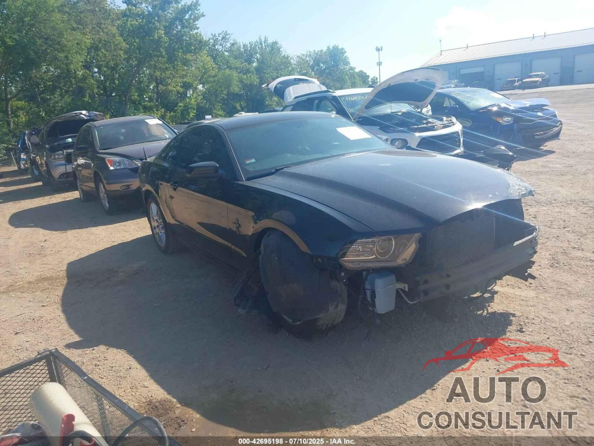 FORD MUSTANG 2013 - 1ZVBP8AM7D5249213