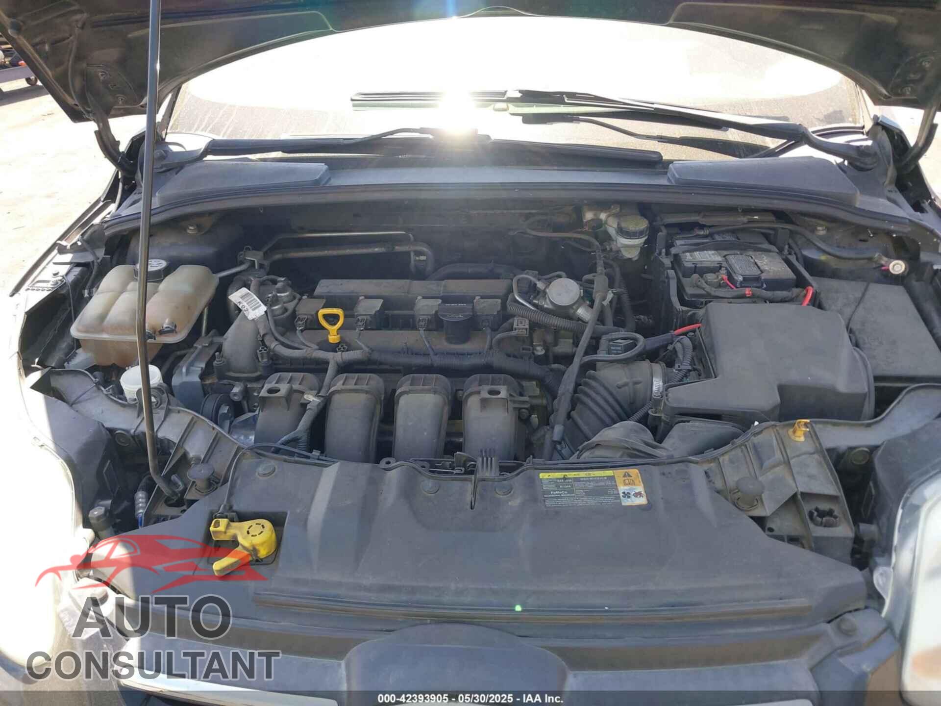 FORD FOCUS 2012 - 1FAHP3K23CL394505