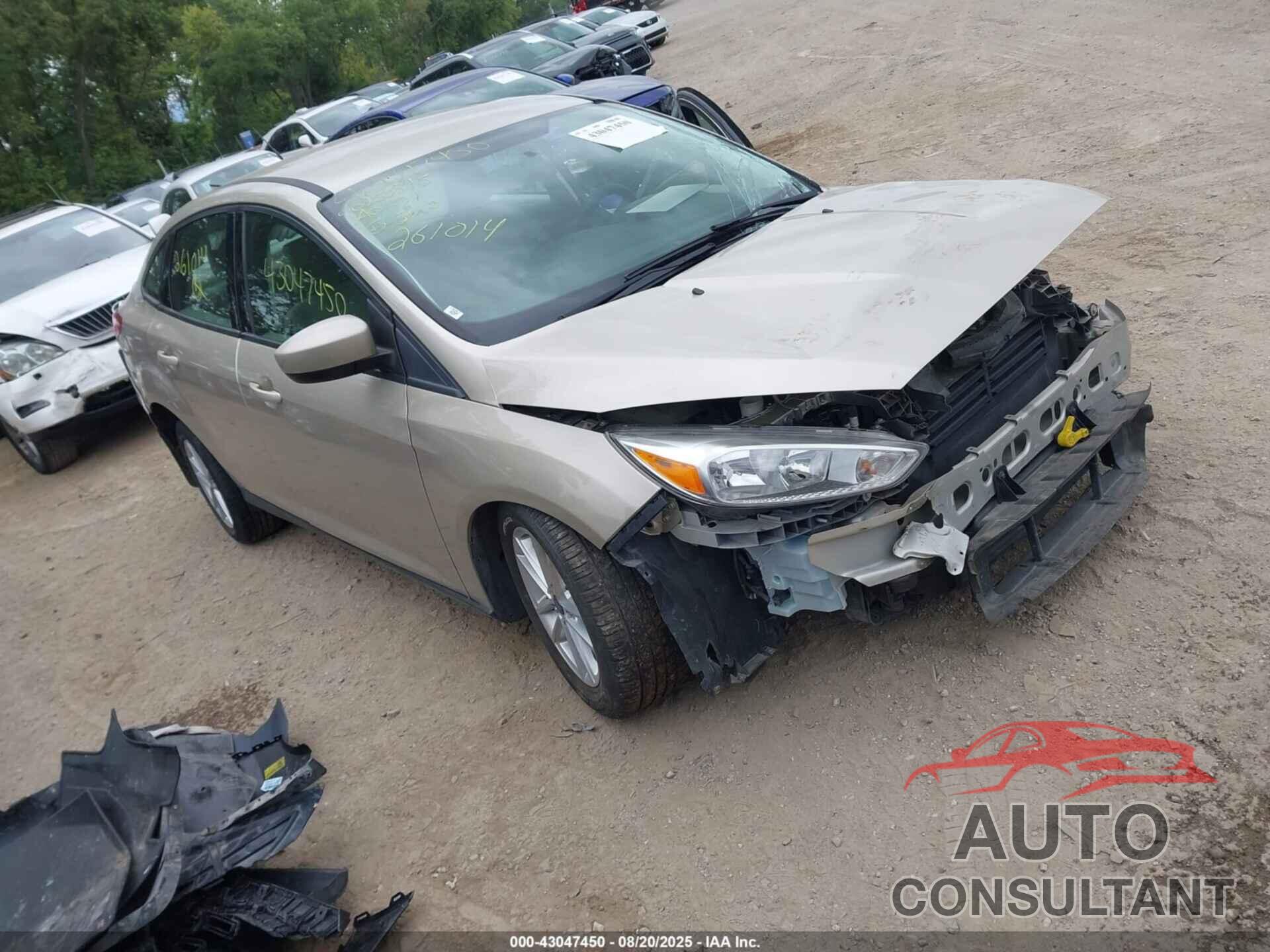 FORD FOCUS 2018 - 1FADP3F2XJL201014