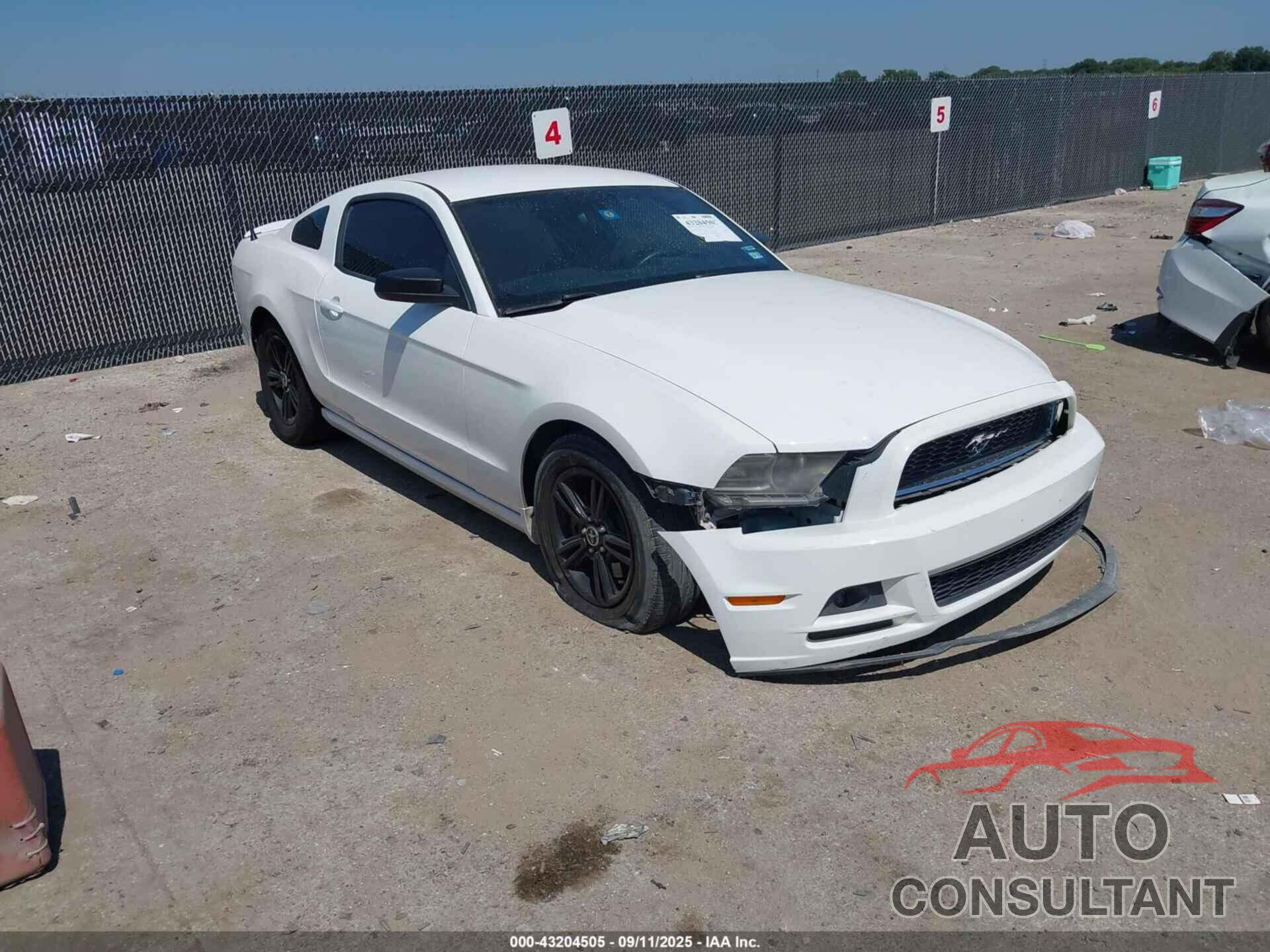 FORD MUSTANG 2013 - 1ZVBP8AM4D5228853