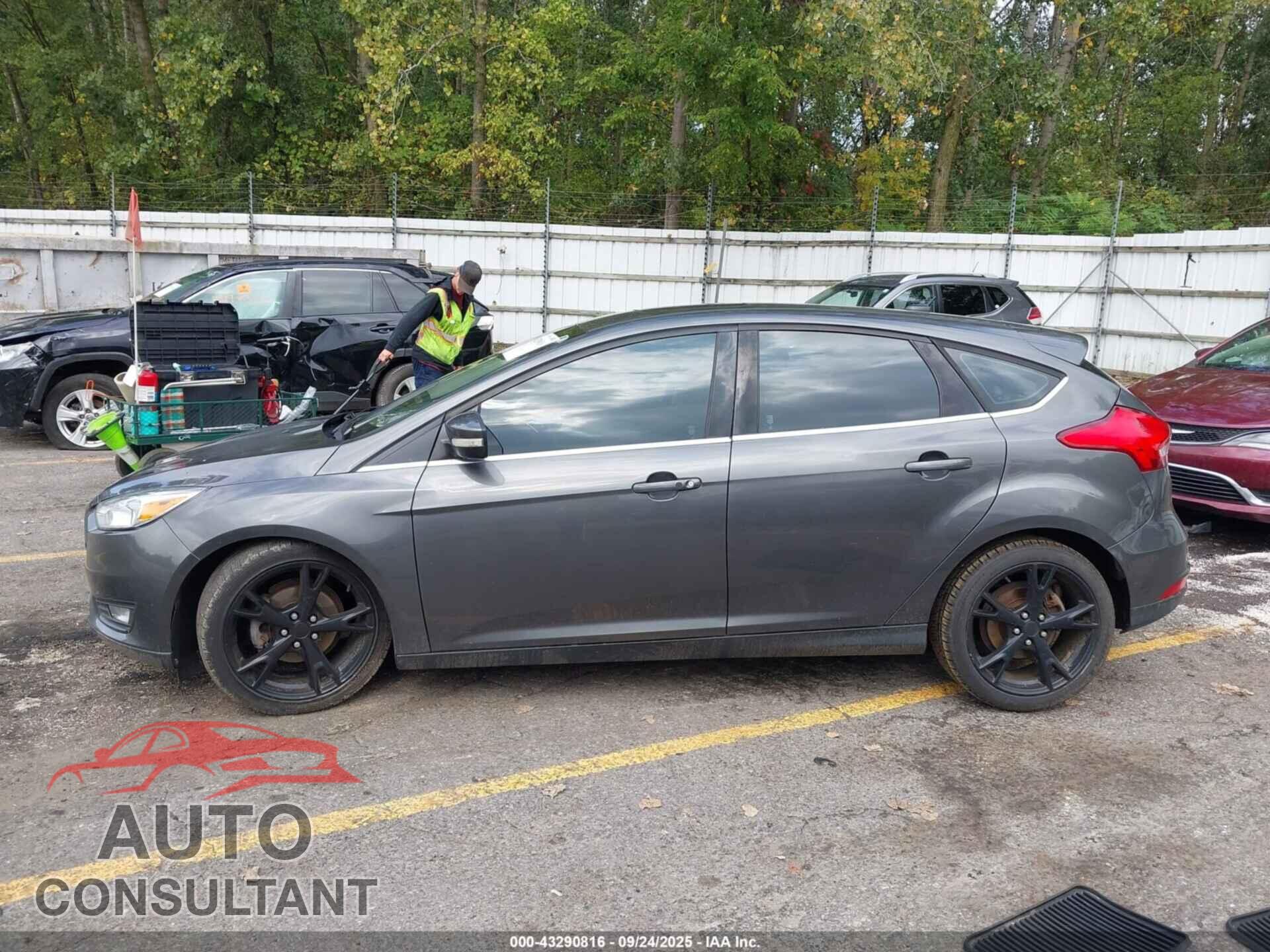 FORD FOCUS 2016 - 1FADP3N28GL239559