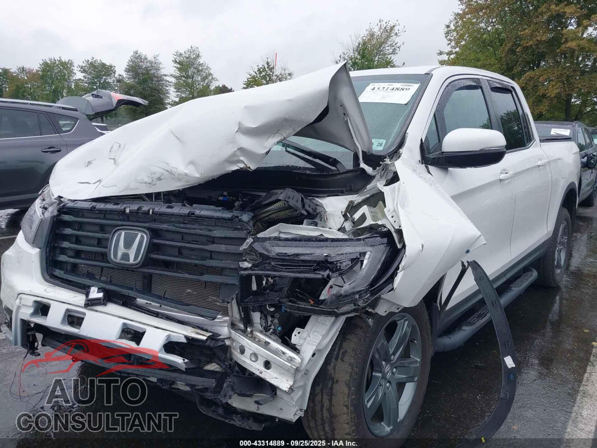 HONDA RIDGELINE 2023 - 5FPYK3F55PB031409