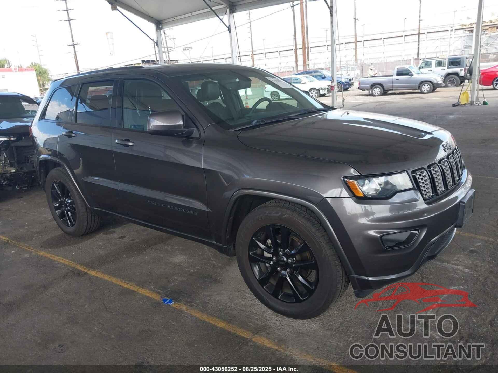 JEEP GRAND CHEROKEE 2019 - 1C4RJEAG9KC542664