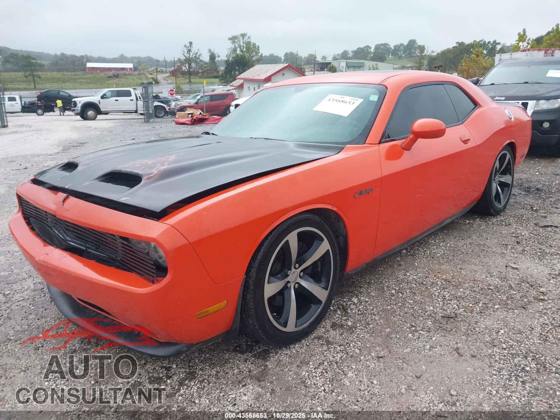 DODGE CHALLENGER 2013 - 2C3CDYBT7DH733689