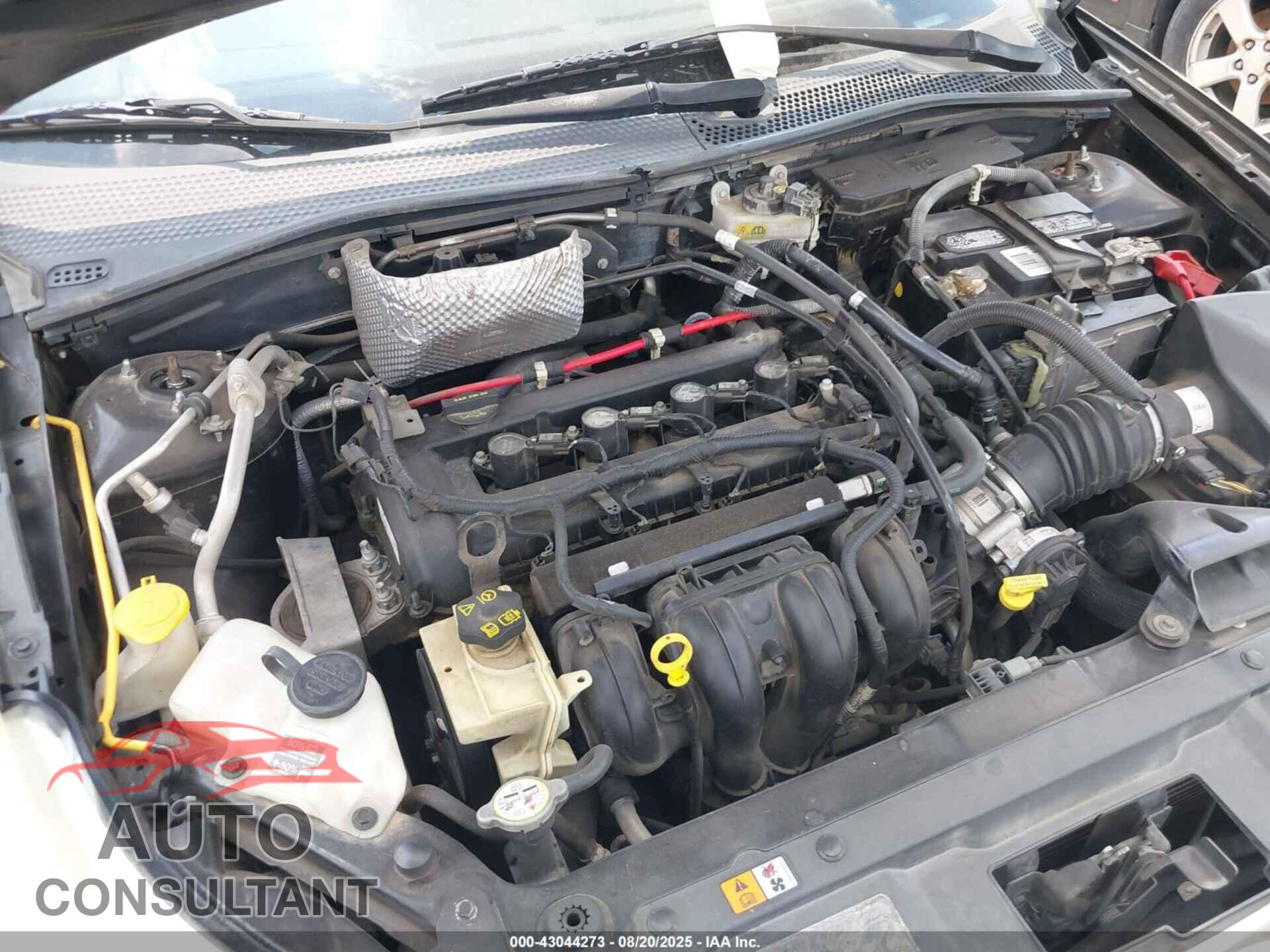 FORD FOCUS 2010 - 1FAHP3FN7AW209713
