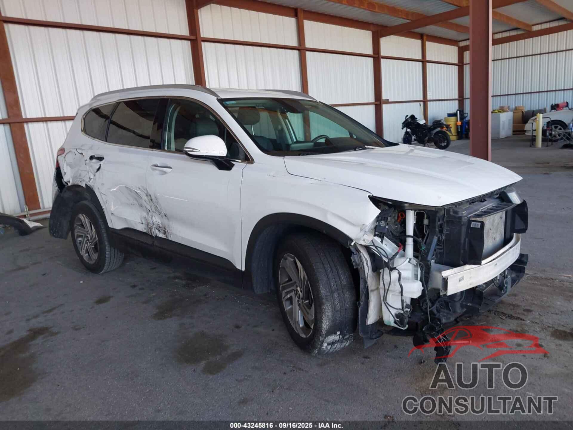 HYUNDAI SANTA FE 2023 - 5NMS24AJ7PH526461