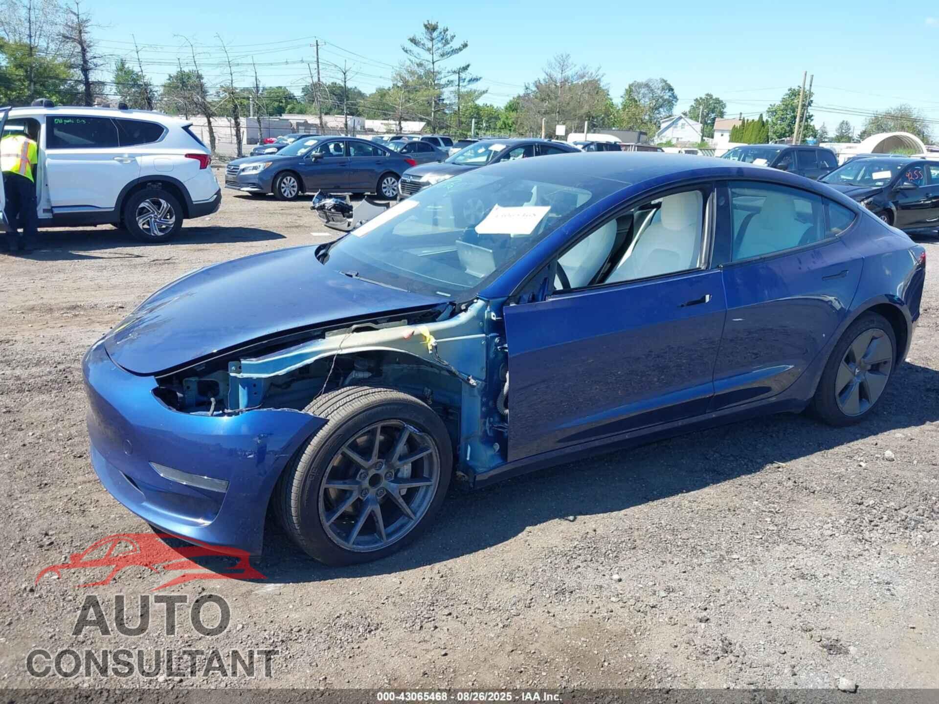 TESLA MODEL 3 2021 - 5YJ3E1EA8MF028223