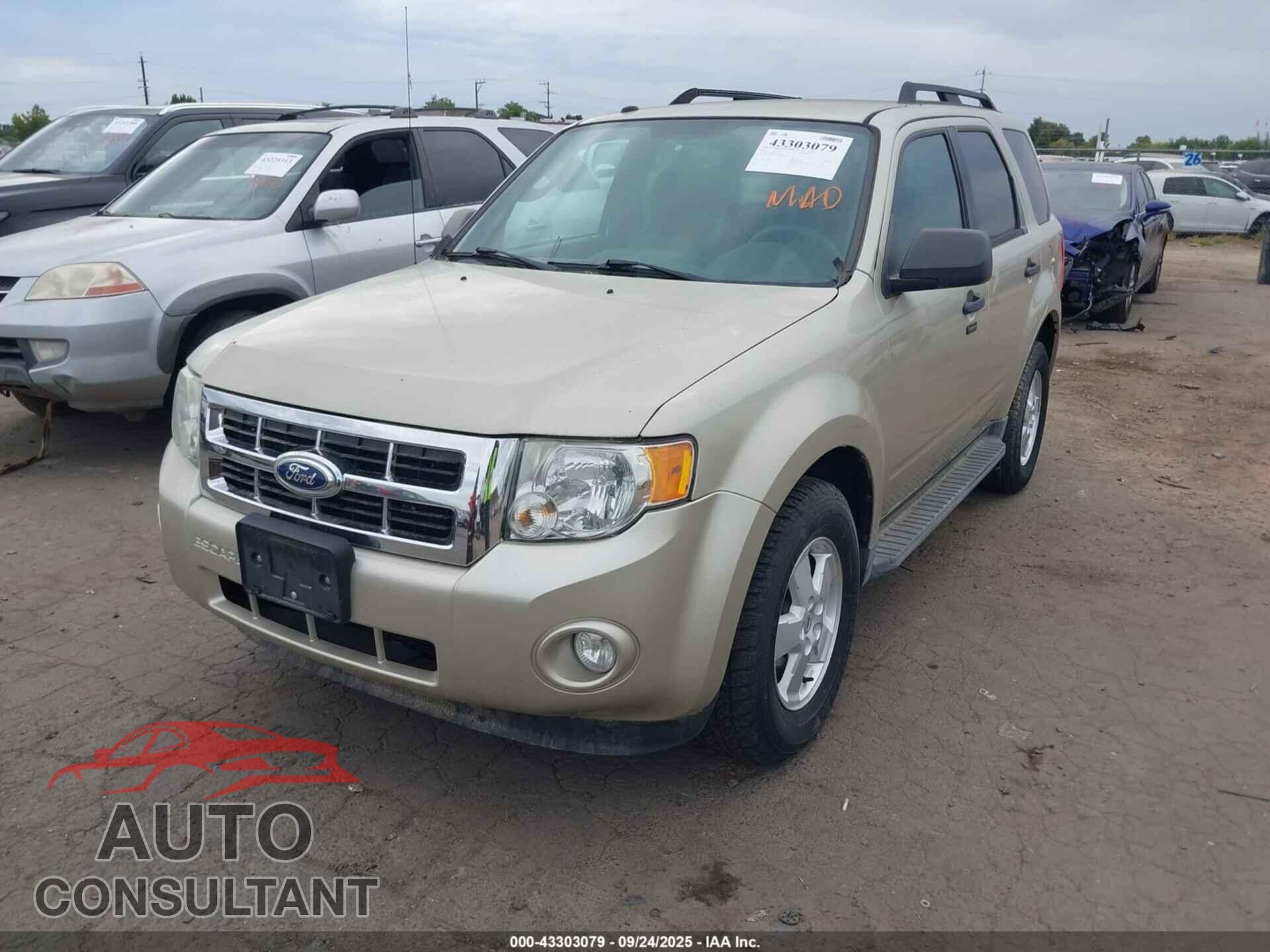 FORD ESCAPE 2011 - 1FMCU0D76BKA93666