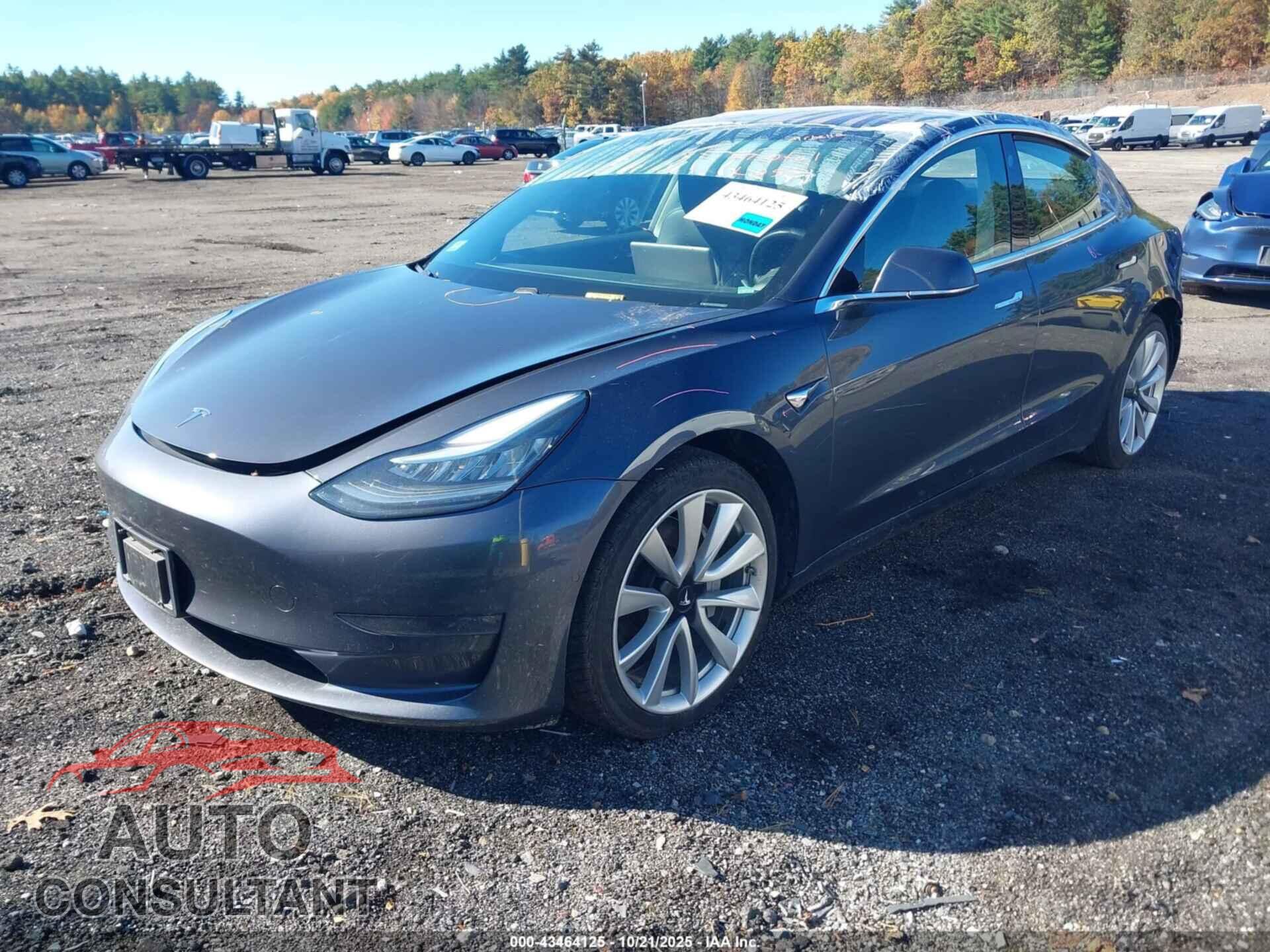 TESLA MODEL 3 2019 - 5YJ3E1EA3KF300884