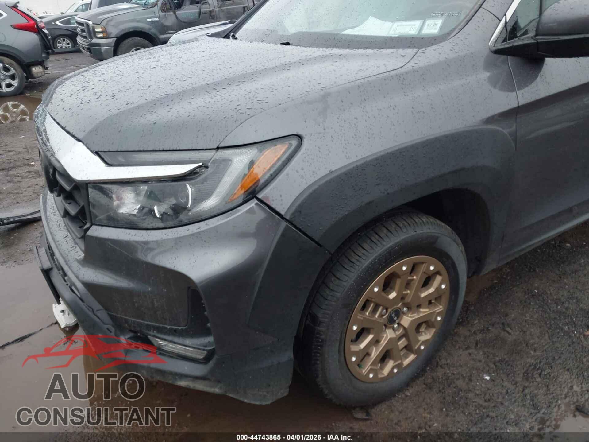 HONDA RIDGELINE 2021 - 5FPYK3F72MB020171