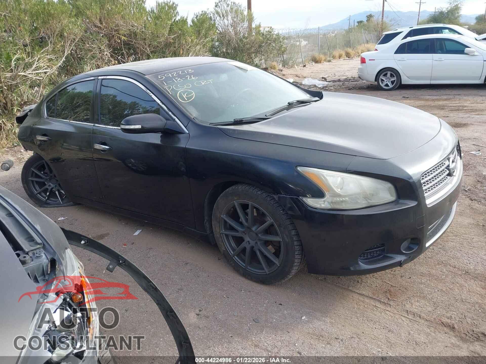 NISSAN MAXIMA 2009 - 1N4AA51E69C800781