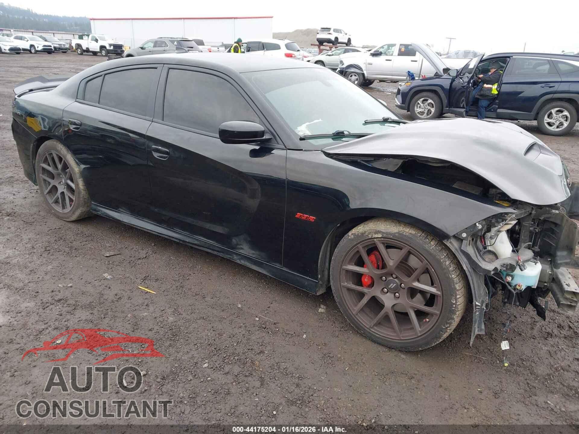 DODGE CHARGER 2019 - 2C3CDXGJ6KH646512