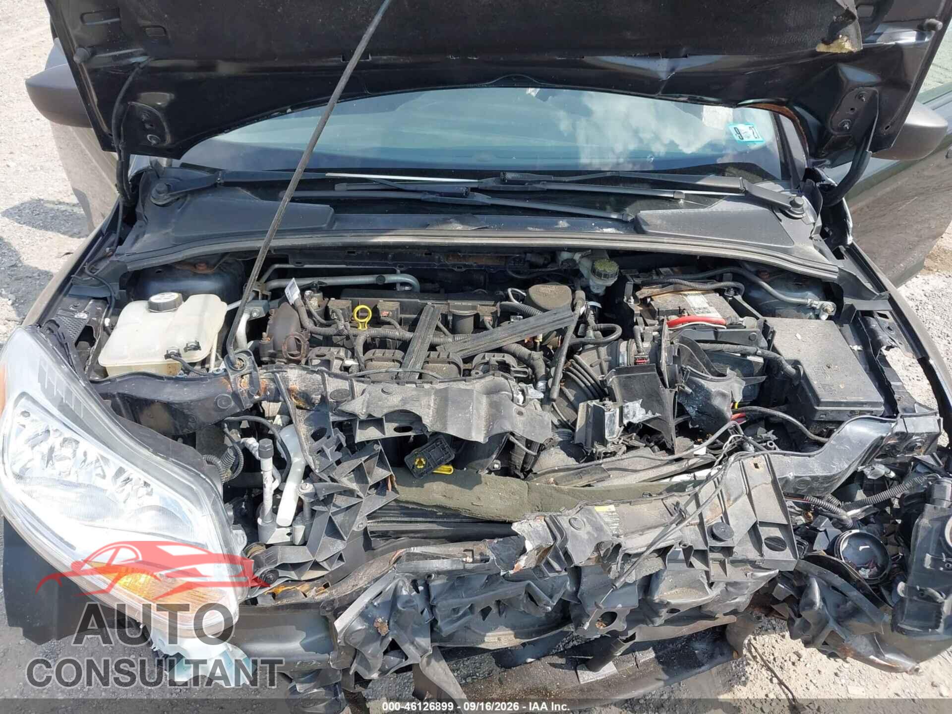 FORD FOCUS 2012 - 1FAHP3E23CL446548