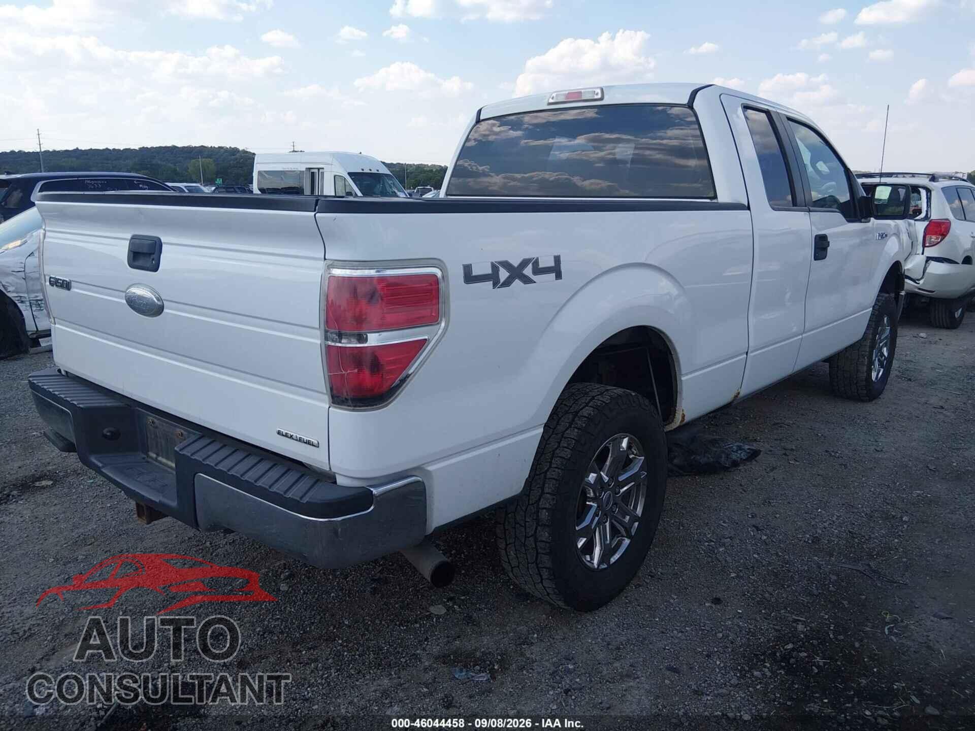 FORD F-150 2011 - 1FTFX1EFXBFB59634