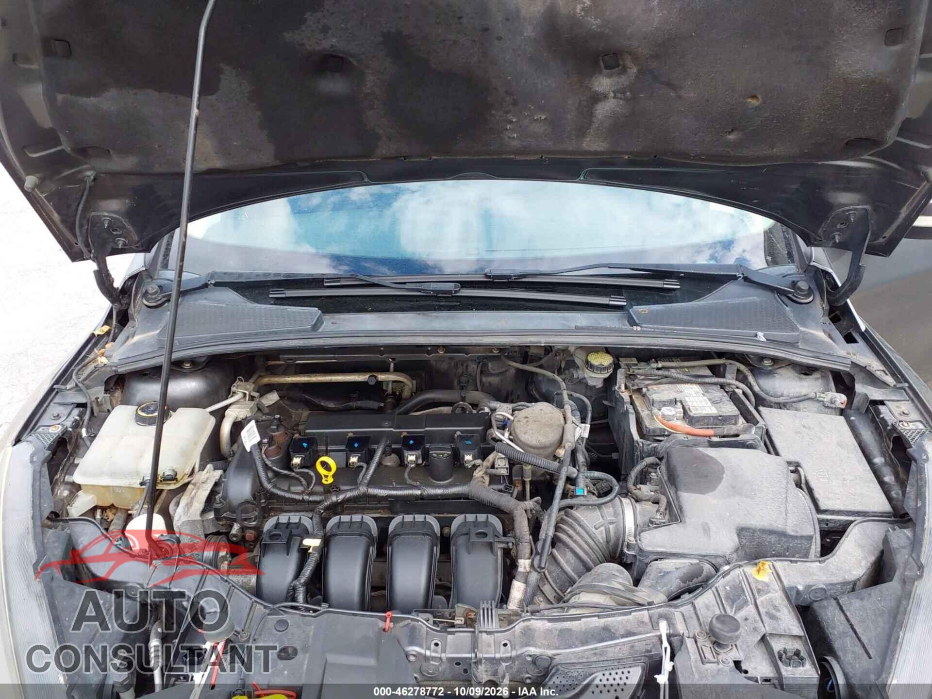 FORD FOCUS 2016 - 1FADP3F24GL293696