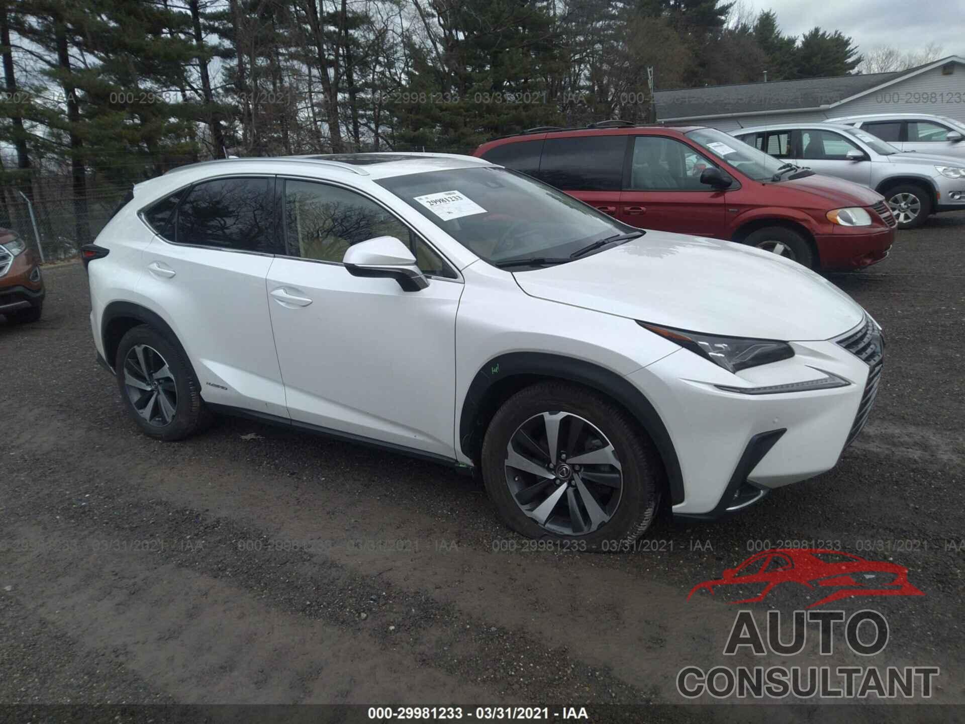 LEXUS NX 2019 - JTJBJRBZXK2098609